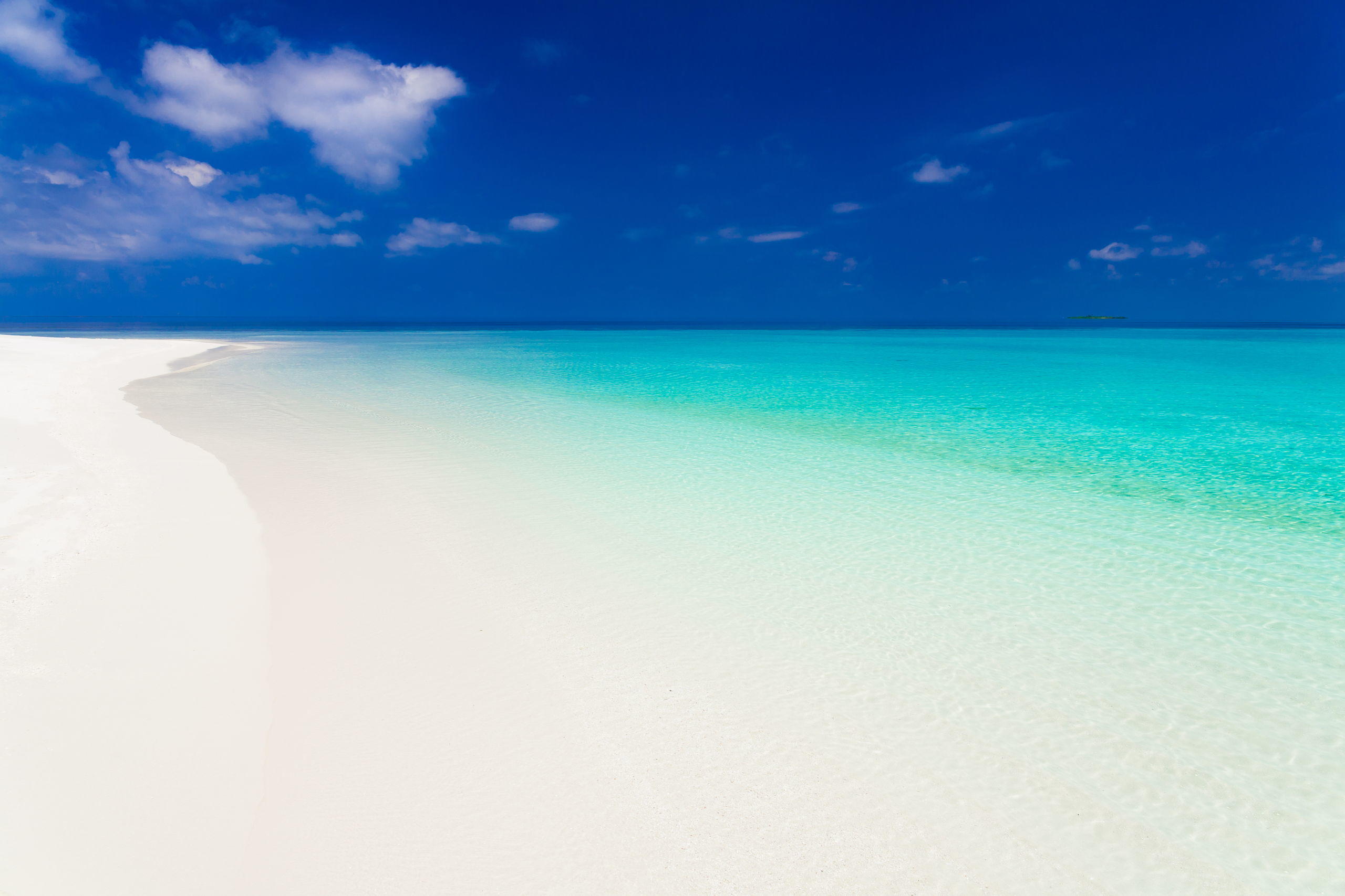 The Beach