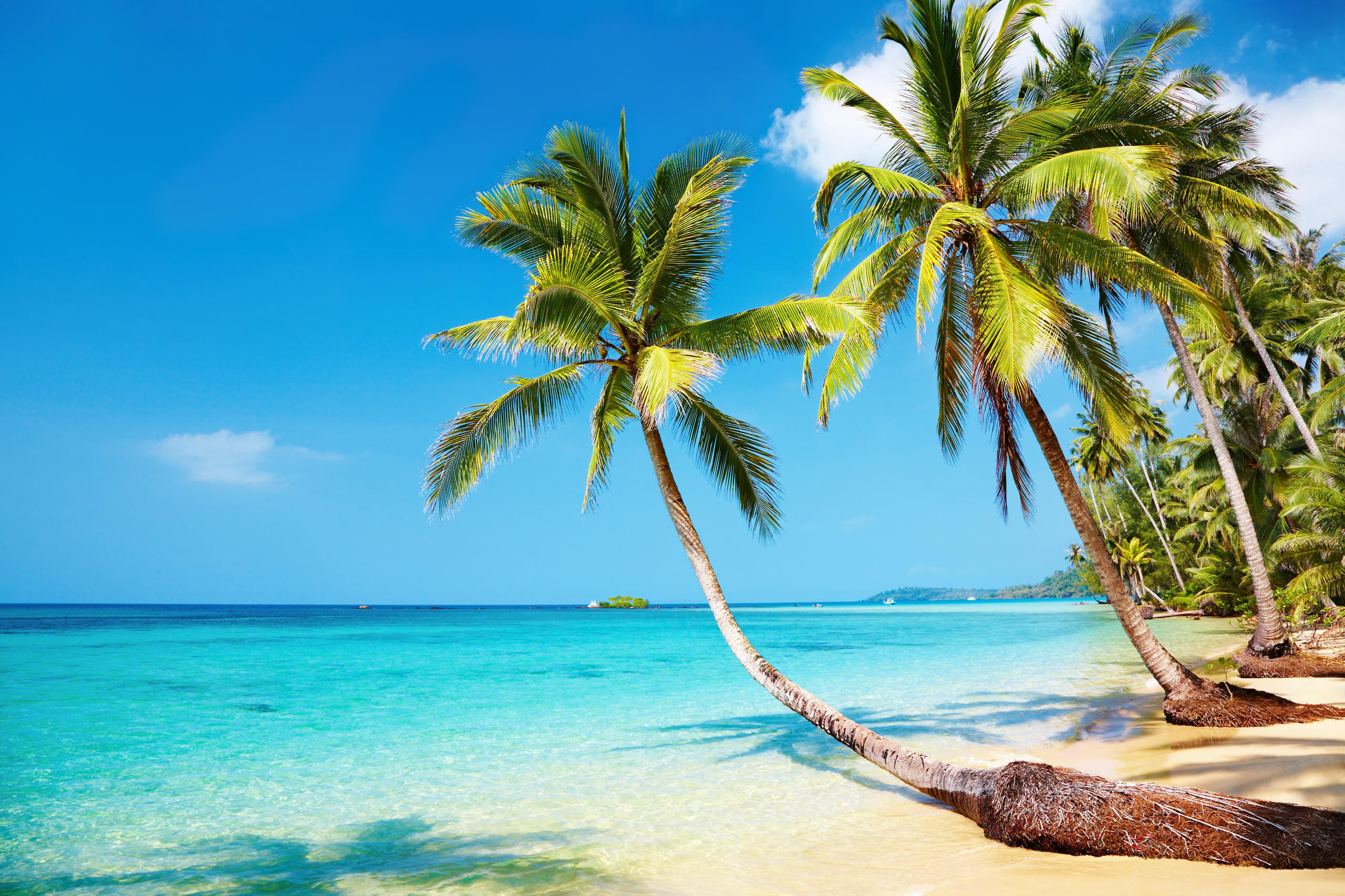 Kood Island